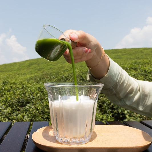 What Café Owners Should Ask a Matcha Wholesale Supplier