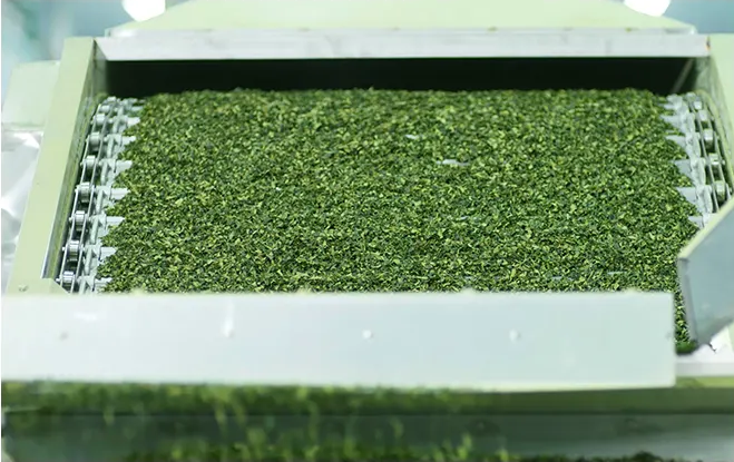Matcha Processing
